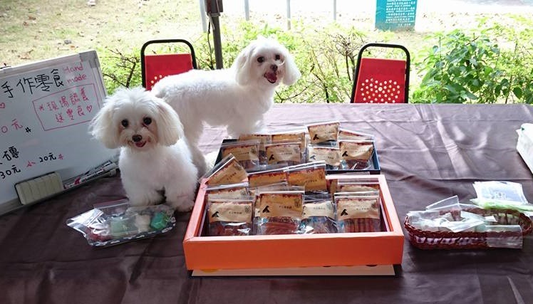 Miffy(後)、小雪(前)跟媽麻一起去義賣,是全場「嬌」點!一點都不像超過10歲的狗狗,看起來非常年輕。 吳小姐/提供