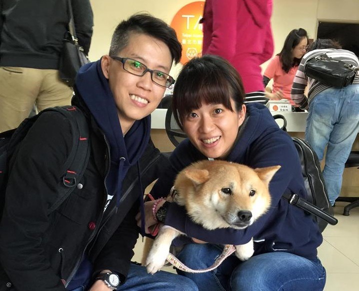 有過不幸經歷的Hachi,終於被好主人領養,獨佔全家人的疼愛! Gean Yang/提供