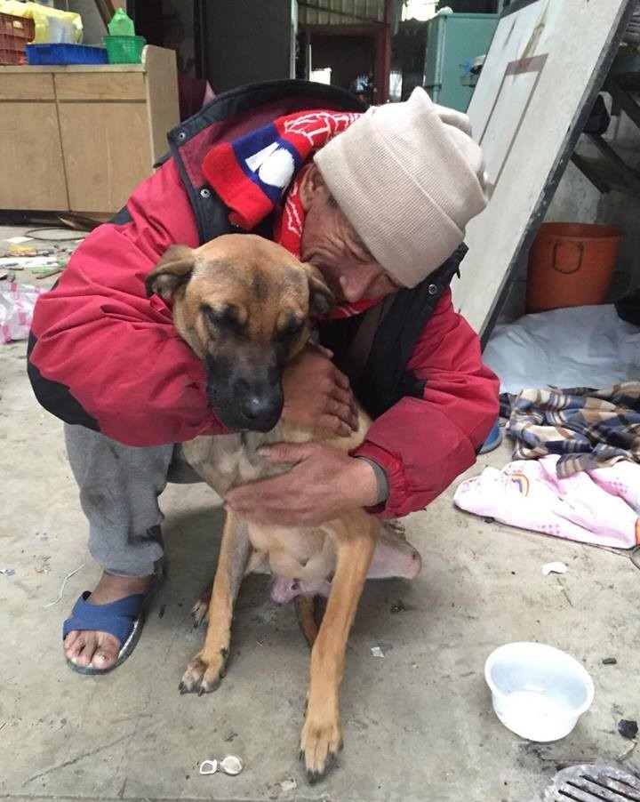 遊民伯伯非常疼愛大黃。 Emily/提供