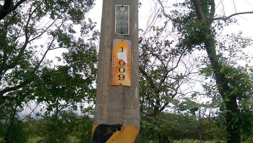 香菜在捷運站後道路旁路燈編號16009號旁邊的草堆被尋獲。　取自Tracy Chen