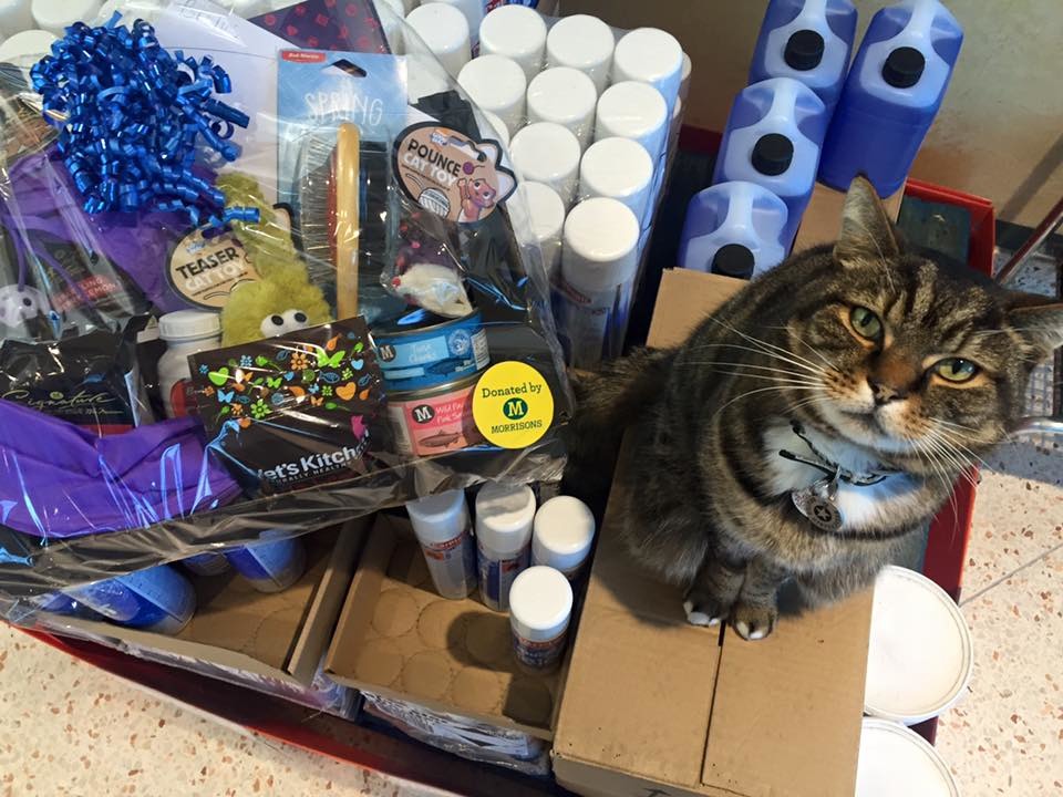 Brutus是超市的招財貓！　取自Brutus 