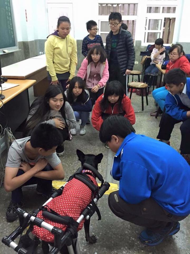 黑黑已經對同學們卸下心防,被這麼多人圍觀也不焦躁。 方卡楽/提供