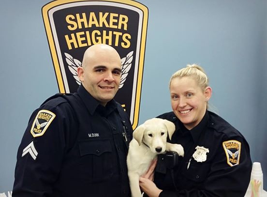 恭喜這隻小狗！　取自《The Dodo》