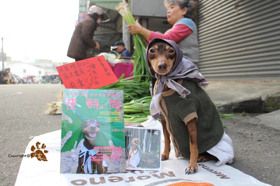 小皮親自到路邊打書。　皮媽/提供