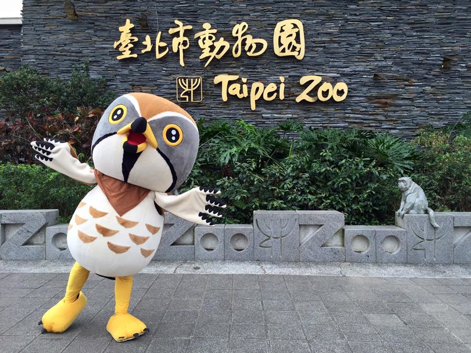小灰造訪台北市立動物園。 取自彰化縣野鳥學會臉書社團