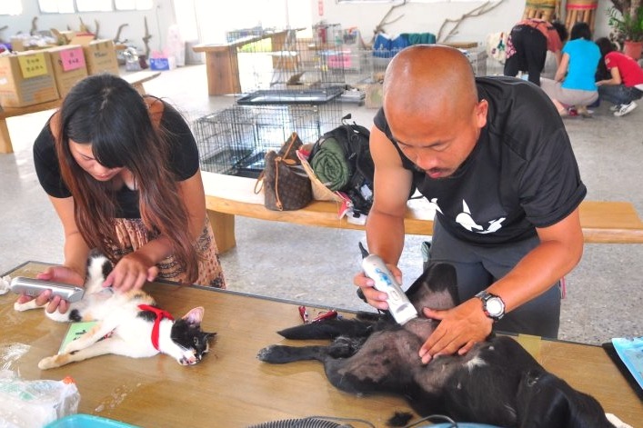 毛頭（右）與團隊將眼光放遠於流浪動物絕育。  毛頭/提供