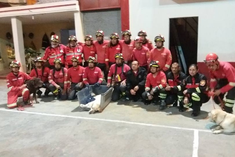 Dayko殉職，消防隊員都相當不捨。  取自Cuerpo De Bomberos Ibarra Ibarra臉書