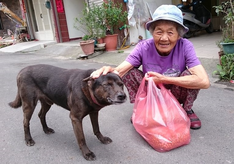 張桂妹為善不欲人知,不過她的女兒希望阿嬤的善念能感染更多人,因此幫她創立了「流浪貓兒狗兒的阿嬤」粉絲團。 取自流浪貓兒狗兒的阿嬤