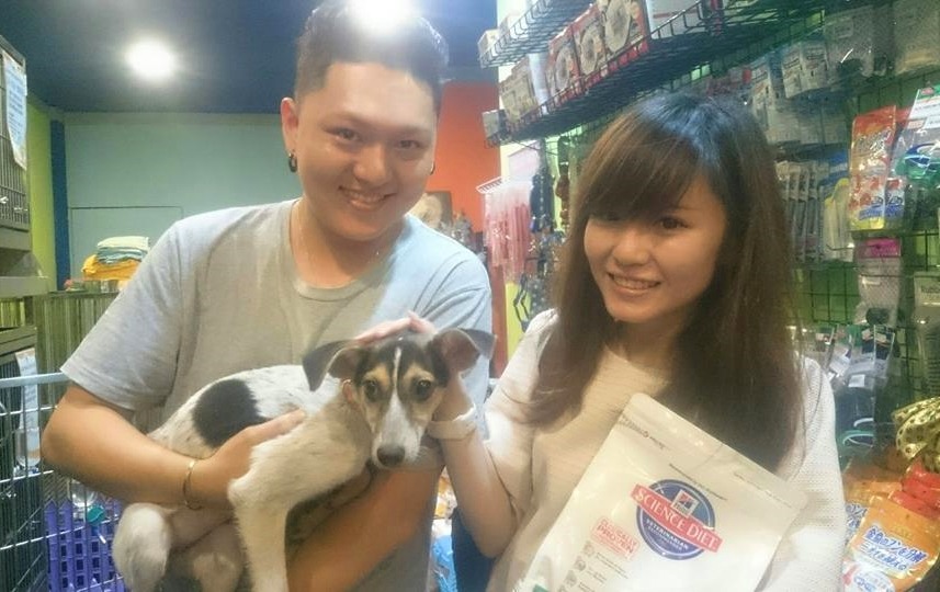 狗狗布丁被領養，改名為Cooper！　取自寵愛水族