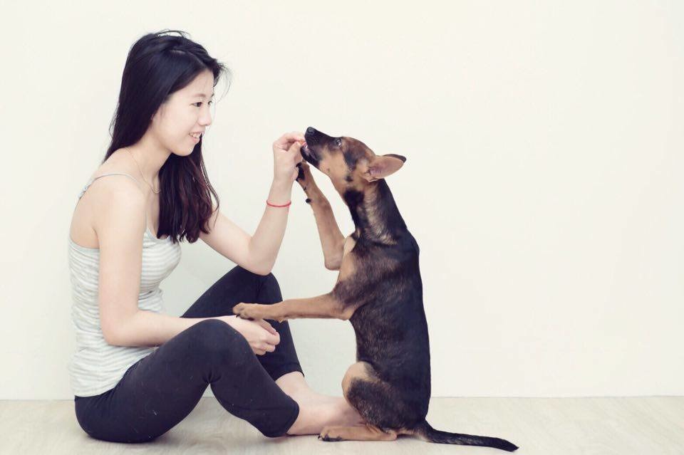 浪浪中途自食其力靠攝影救街犬 社團法人中華民國保護動物協會