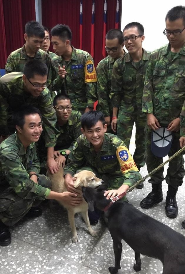 愛狗的國軍弟兄特地上前，和流浪動物花園的生命教育演講大使「Bingo」(圖中黃狗)玩。圖中黑狗為205指揮部營區狗阿布。　流浪動物花園協會/提供