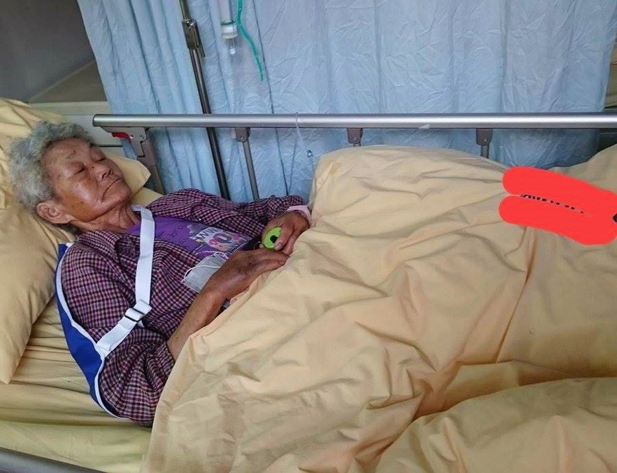 阿嬤即使自己生病受傷都放心不下浪浪。 取自流浪貓兒狗兒的阿嬤