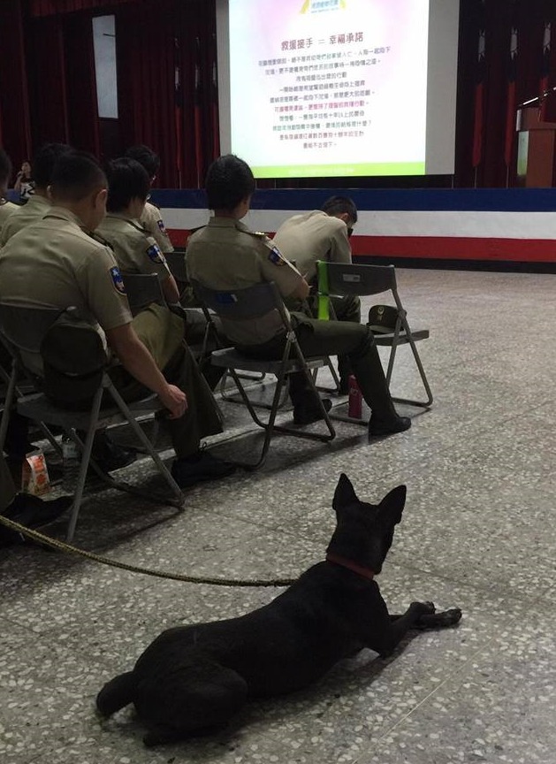 阿布也很認真聽！　流浪動物花園協會/提供