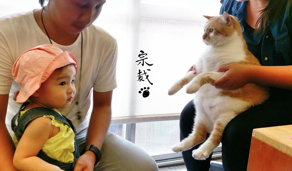 總裁和員工的小孩打招呼。小孩跟巧虎一樣9公斤哦。 取自總裁的上班日常