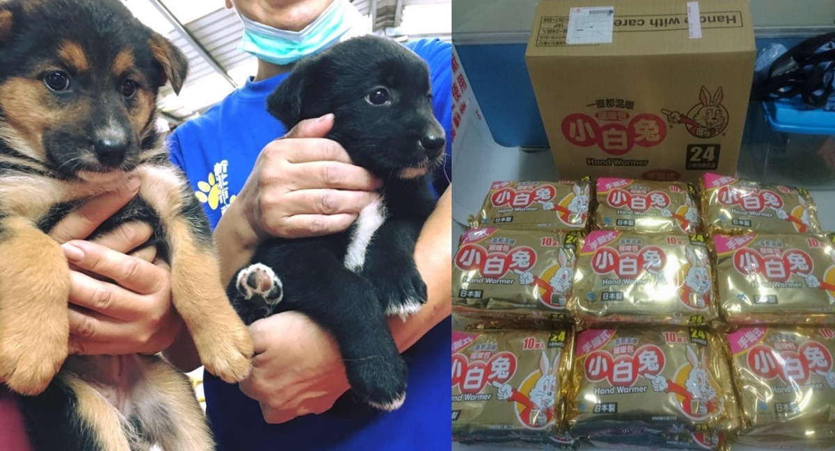 2個月以下的幼犬才適用暖暖包。　取自新店動物之家
