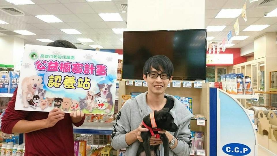 公益店家送養養效果不錯。圖非寵愛水族。　取自高雄市動物保護處粉絲團
