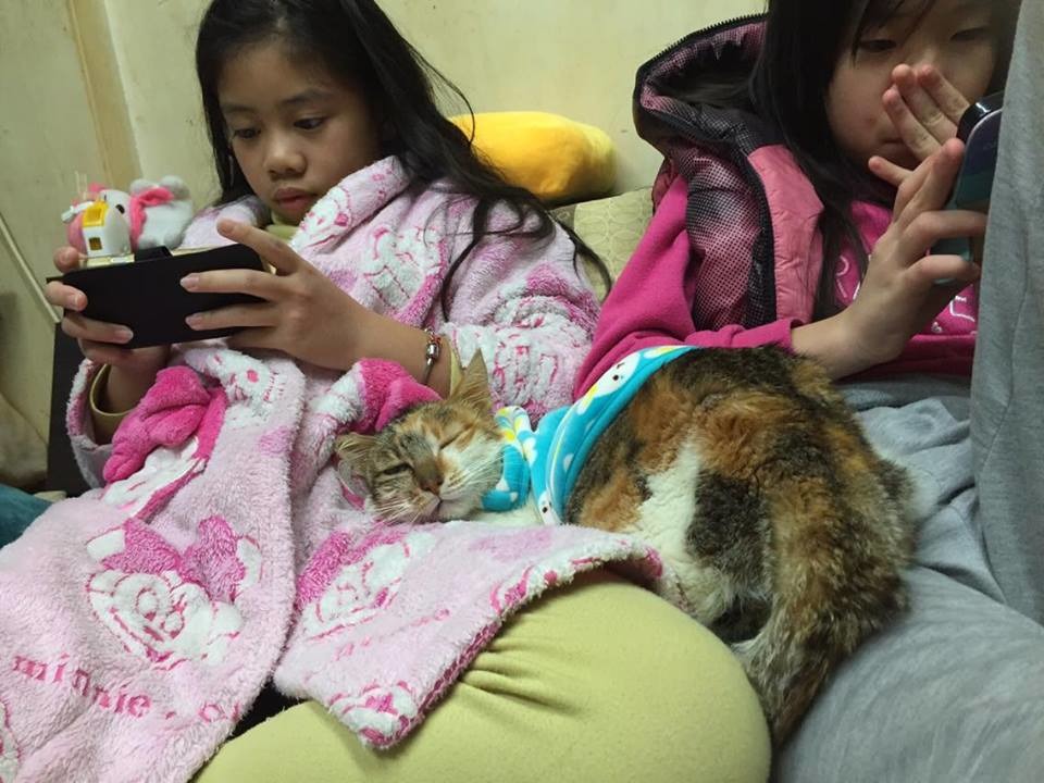 焦糖是兩個小姊姊的寶貝。　梁先生/提供