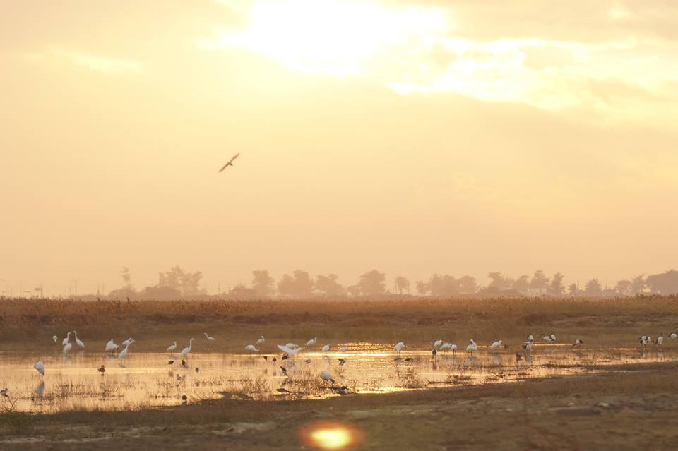 茄萣濕地美景。　守護茄萣濕地青年聯盟/提供