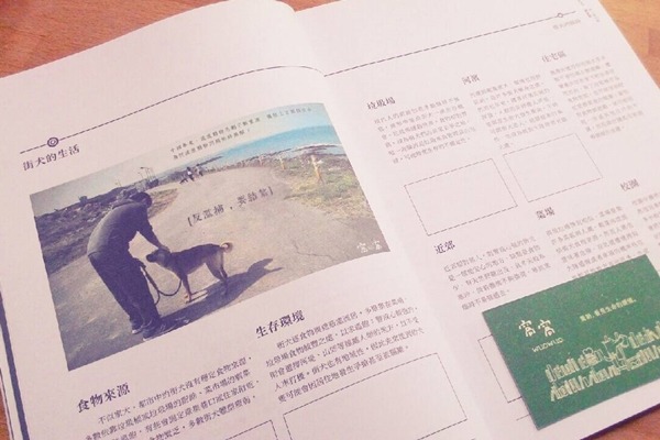 《窩抱報》創刊號的專題是街犬的一生。 窩窩/提供
