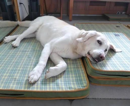 不管啦！這全部都是我的！　耀億/提供