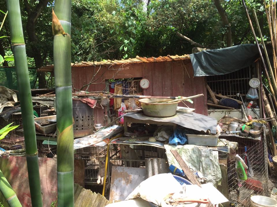 繁殖場環境照。 桃園市推廣動物保護協會/提供