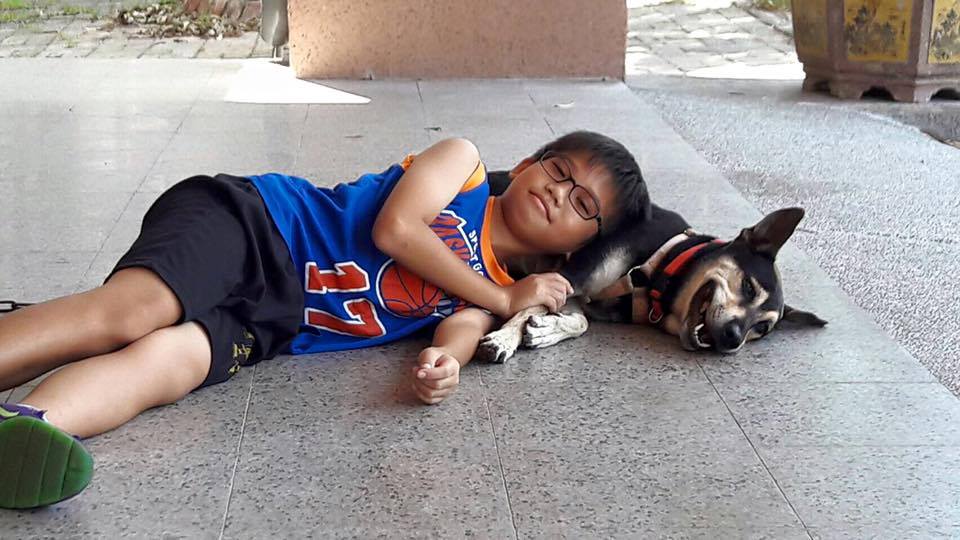 高雄大仁國中校犬超仁樂於和師生互動，人氣非常高，也讓學童學會了和狗互動的禮儀。　大仁國中校犬專區提供