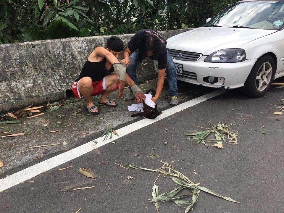 羅卉菁的老公(右)和發現元氣的學生(左)合力把元氣從車底撈出來。　取自Homecafe
