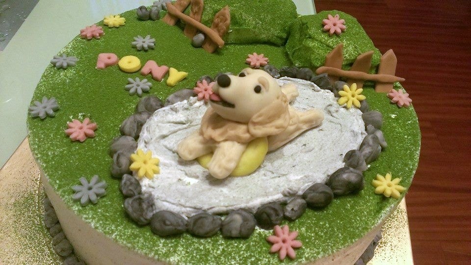 別以為這麼漂亮的顏色一定要用人工色素才調得出來,其實丸丸媽用的全都是天然食材! 丸丸家寵物手作坊/提供