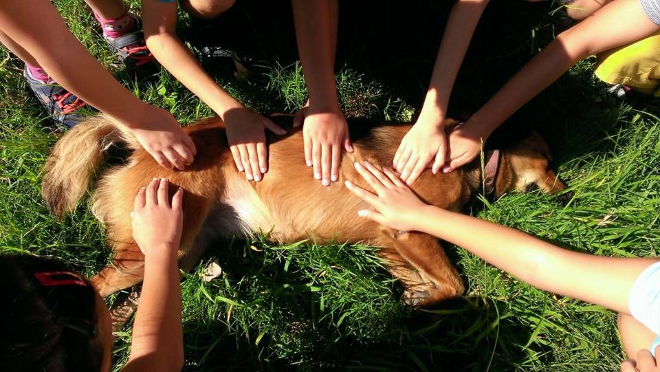 布朗尼是小朋友間的人氣王。　Vanessa Lin/提供