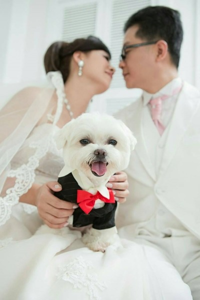 其實結婚的人是我Be將啦！　黃暄筑/提供