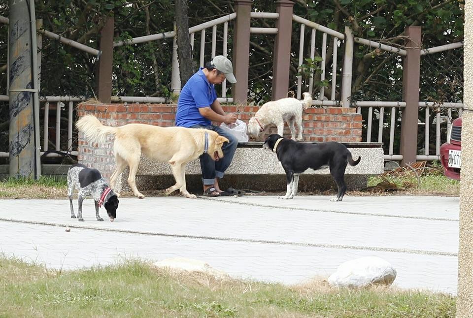 工作人員幫園狗加菜囉！　安東尼/提供