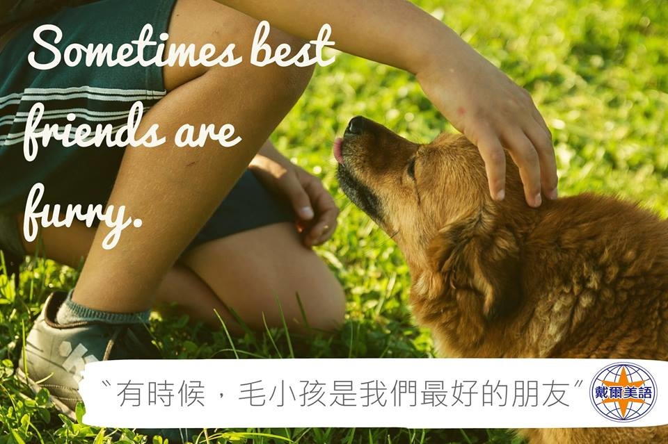 毛小孩是我們最好的朋友！　取自戴爾美語