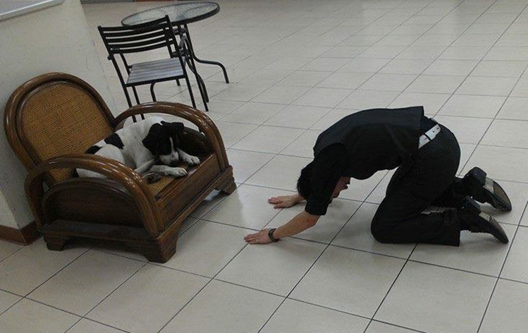 牛牛被部分學生暱稱為老大。 Pin-Yen Chiang/提供