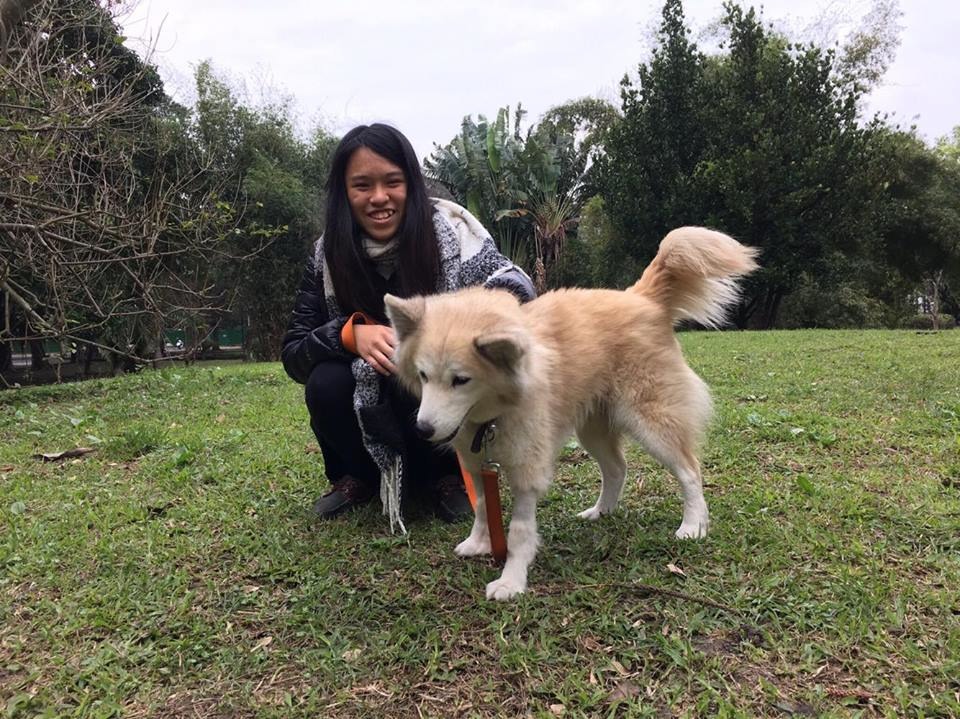 小狐長得非常漂亮,個性又溫和,學生都很喜歡牠。這是小狐以前的照片。 輔大愛狗社/提供