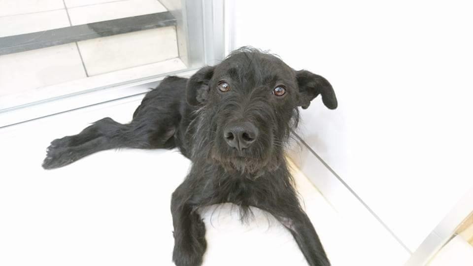 樂樂現在住在中壢人人醫院。　安東尼/提供