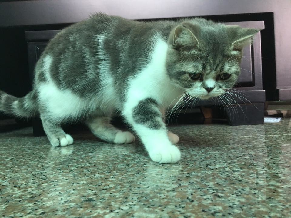 朵朵照片。　吳小姐/提供