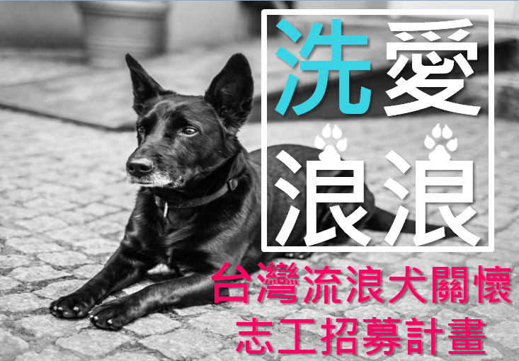 由專業美容師吳嘉育和友人發起的公益活動。　取自Daddy's coming.- 型男爸爸寵物美容宅急便