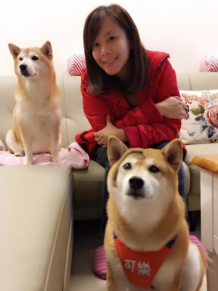 TVBS主播秦綾謙的愛犬Yumi(後)是可樂(前)的學妹。　取自安溪國中校犬【可樂】