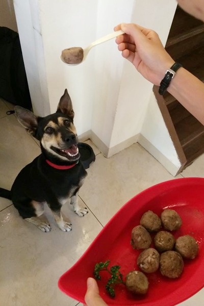 食物總是吸引超仁的目光! 大仁國中/提供