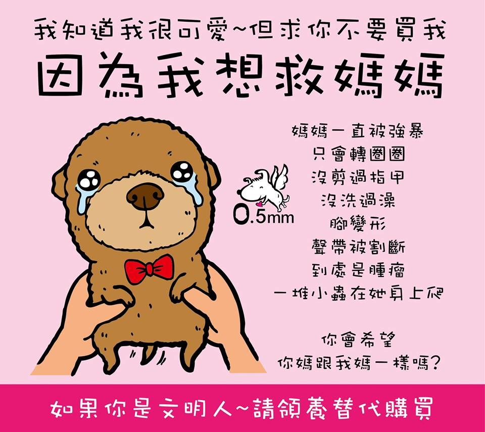 這張圖在網路上被瘋狂轉載，也被不少人設成FB封面照片。　0.5mm插畫/提供