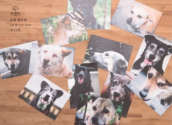 校犬們的飼料由照生會贊助，但老、病犬需要的處方飼料、罐頭、慢性病醫療費用，仍需靠社員對外募款支付。　陳青雅/提供