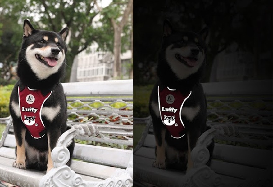 NINKYPUP反光系列可反射3～100公尺的直射光，夜間外出有保障。　NINKYPUP/提供