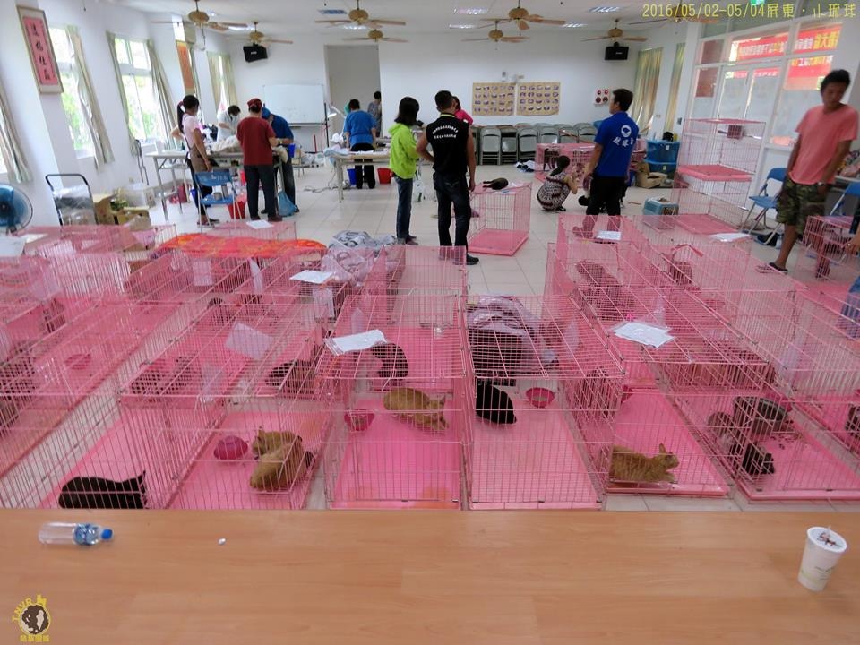 圖為結紮團隊借用的手術空間。　取自TNVR-結紮團隊