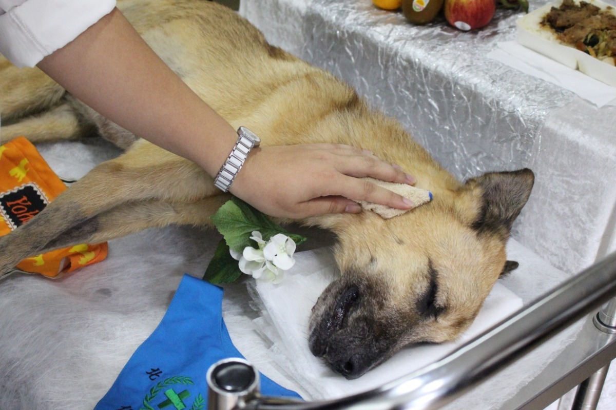 師生為優漢擦身，讓他乾淨、漂亮的去另一個世界。　黃靖雅/攝