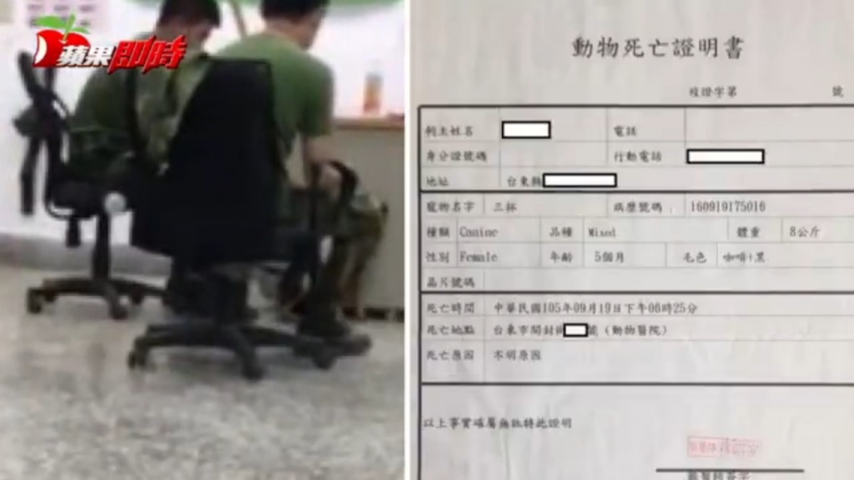 2日晚間，蘋果日報接獲士兵爆料，指出國軍又爆虐狗。　翻攝自蘋果日報