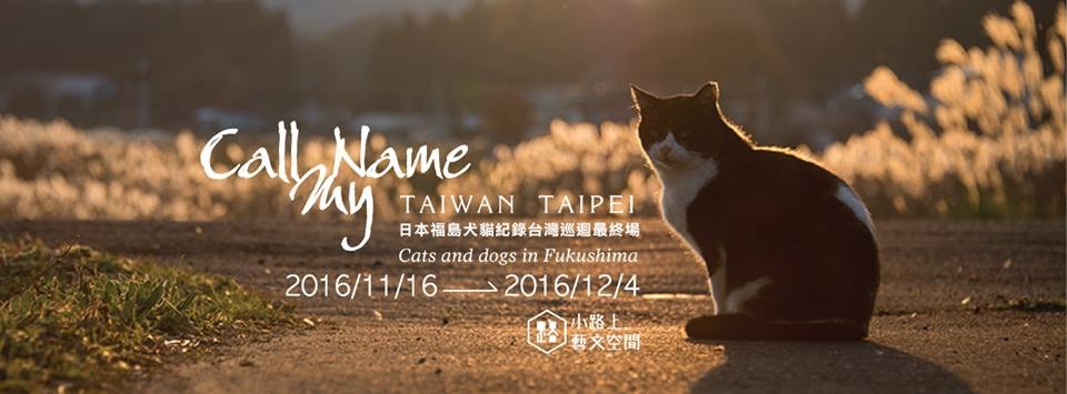 台北場是台灣巡迴最終場，11/16～12/4在小路上藝文空間展出。　取自上村雄高「Call My Name」日本福島犬貓紀錄展