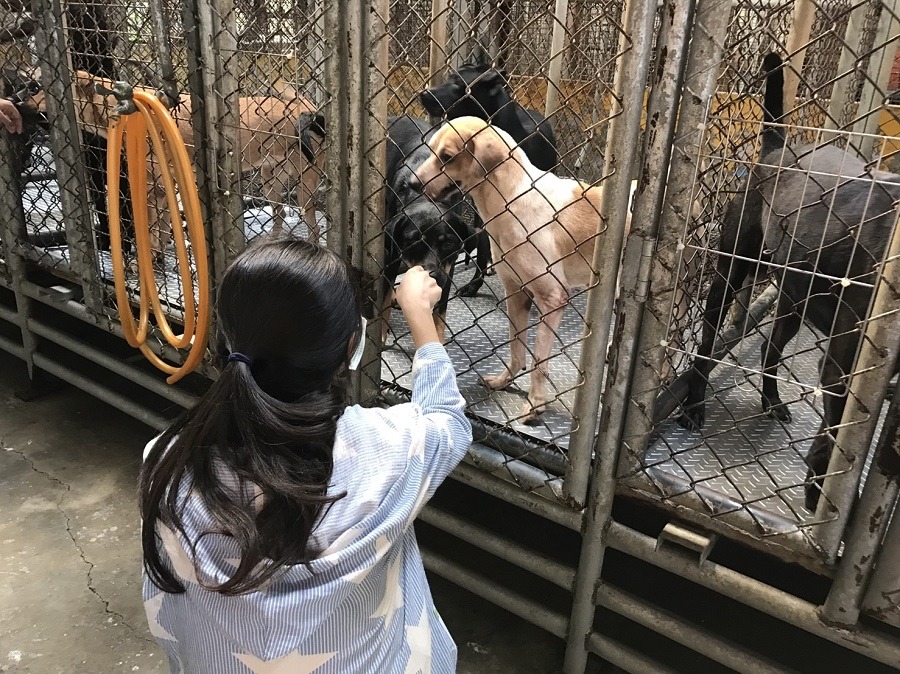 滿懷熱情的民眾進到公收當志工，一次兩次就消失的不在少數，為什麼呢？　示意圖，APA/提供