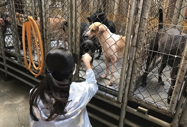 公收和志工一定是對立的嗎? APA/提供