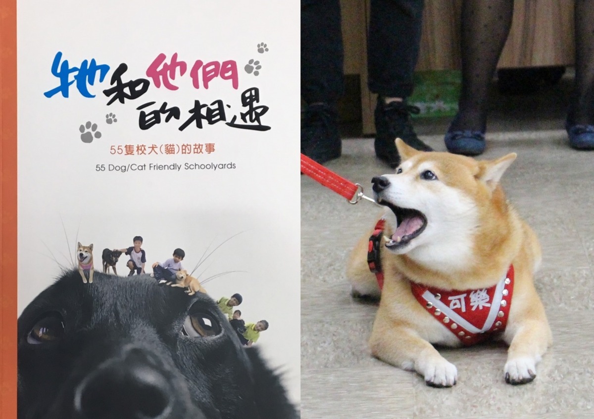 圖右為獲得特優的可樂。　黃靖雅/攝