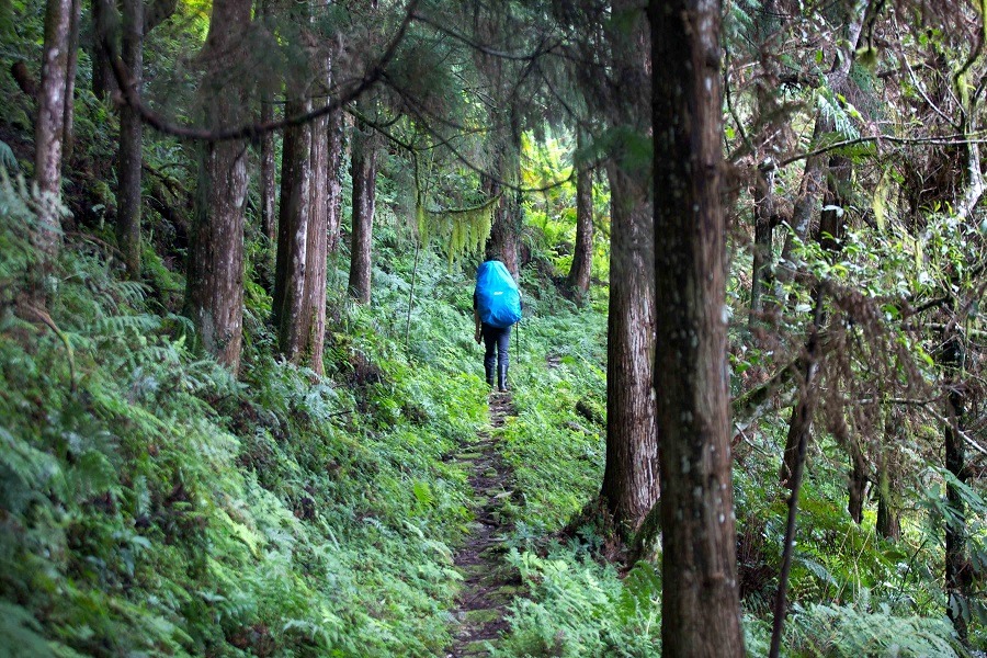 李香秀今年53歲，她第一次入山也已經47歲，拍攝起來非常辛苦。　黑熊森林/提供